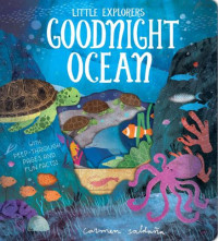 Image of Little Explorers: Goodnight Ocean