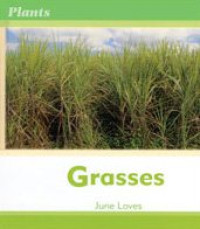 Image of Plants: Grasses